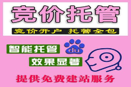 竞价广告开户实战：多角度解析成功案例